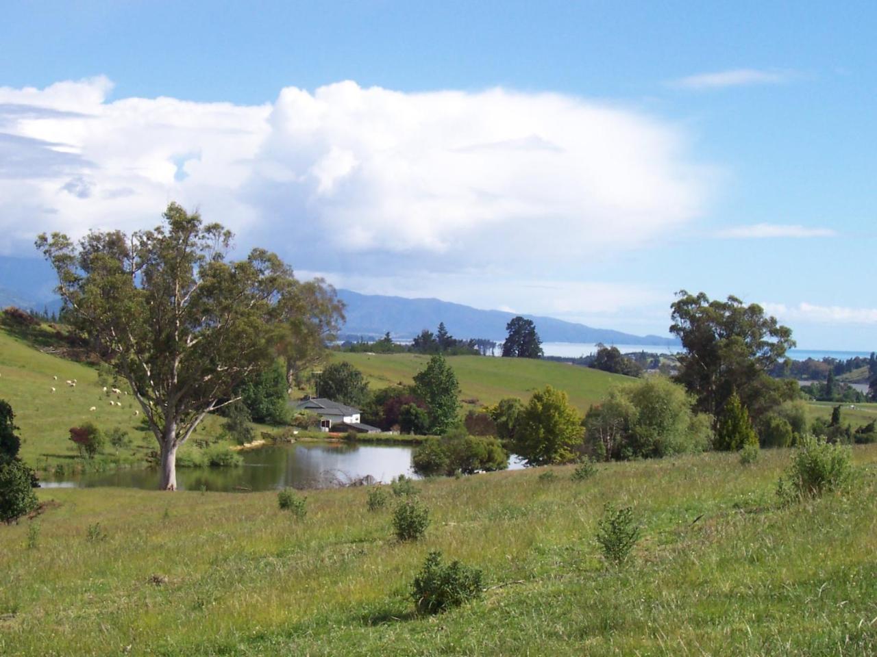 Tasman Farmstay Retreat Glenmhor Kültér fotó